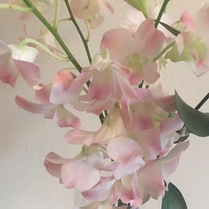 Meet your Posher, Alison